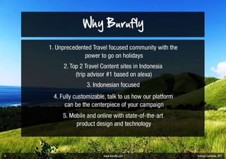 Burufly overview 072513