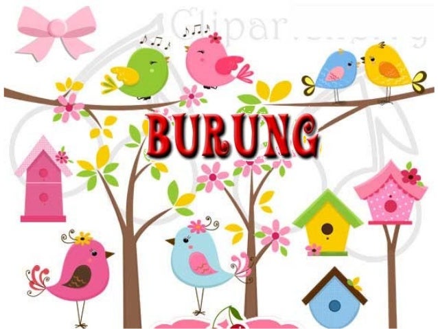 Burung