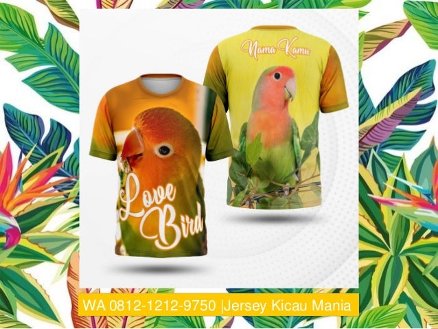 Wa 0812 1212 9750 Jersey Burung Dara
