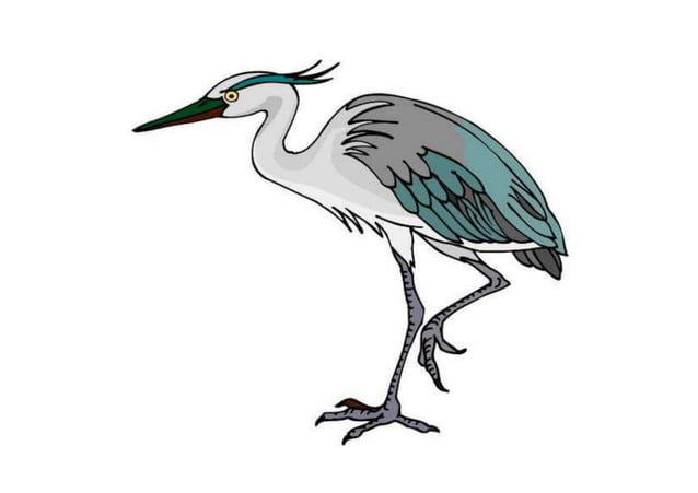 Burung bangau PPT Burung bangau PPT