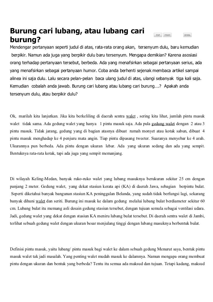 burung cari lubang