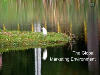 The Global  Marketing Environment 0 