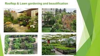 Rooftop & Lawn gardening and beautification
 