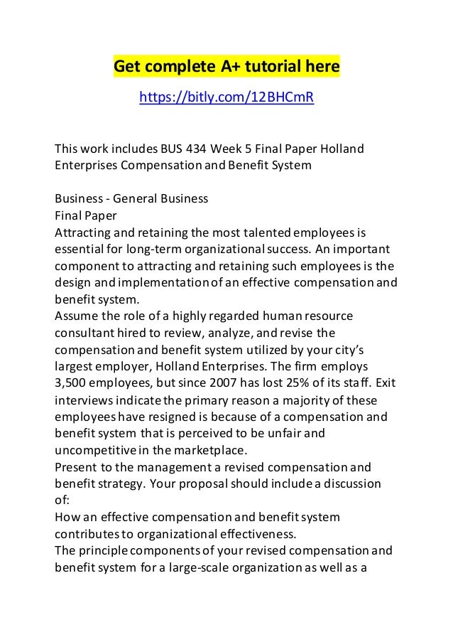 Holland enterprises essay 07 picture