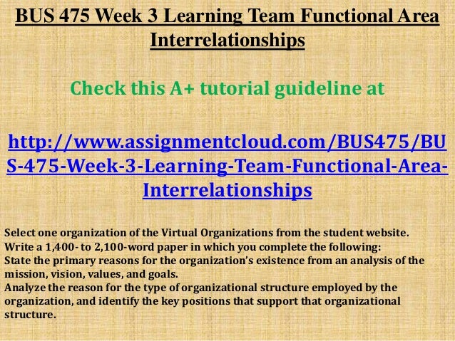 Bus 475 Week 3 Learning Team Functional