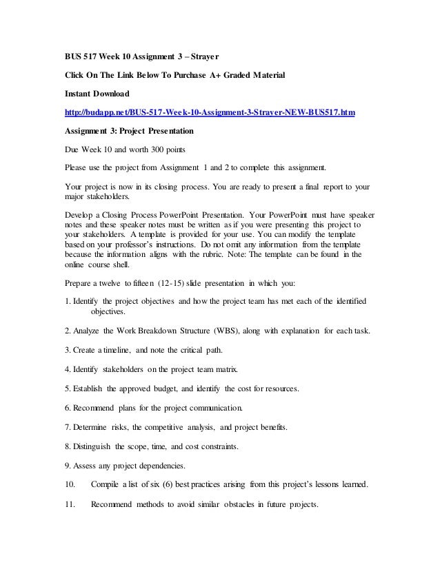Essay on bus 517 bus517 complete assignments 03 picture