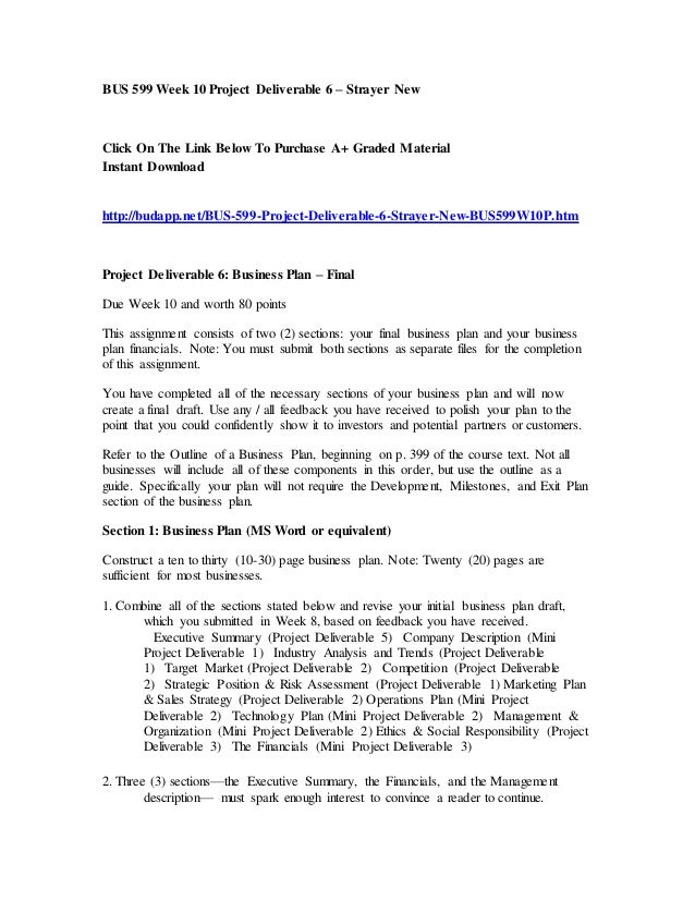 Bus 599 week 10 project deliverable 6 strayer new essay 02 picture