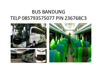 BUS BANDUNG
TELP 085793575077 PIN 236768C3
 