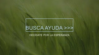 BUSCA AYUDA >>>
DECÍDATE POR LA ESPERANZA
 