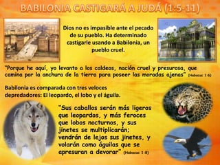 Dios no es impasible ante el pecado
de su pueblo. Ha determinado
castigarle usando a Babilonia, un
pueblo cruel.
Babilonia es comparada con tres veloces
depredadores: El leopardo, el lobo y el águila.
“Porque he aquí, yo levanto a los caldeos, nación cruel y presurosa, que
camina por la anchura de la tierra para poseer las moradas ajenas” (Habacuc 1:6)
“Sus caballos serán más ligeros
que leopardos, y más feroces
que lobos nocturnos, y sus
jinetes se multiplicarán;
vendrán de lejos sus jinetes, y
volarán como águilas que se
apresuran a devorar” (Habacuc 1:8)
 