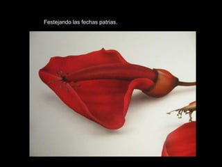 Festejando las fechas patrias.
 