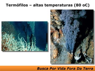 Termófilos – altas temperaturas (80 oC)
 