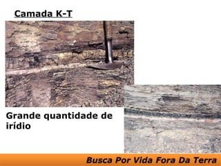 Camada K-T




Grande quantidade de
irídio
 