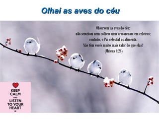 Olhai as aves do céuOlhai as aves do céu
 