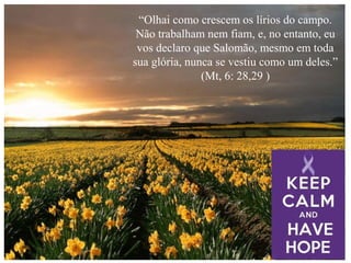 “Olhai como crescem os lírios do campo.
Não trabalham nem fiam, e, no entanto, eu
vos declaro que Salomão, mesmo em toda
sua glória, nunca se vestiu como um deles.”
(Mt, 6: 28,29 )
 