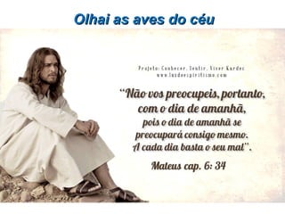 Olhai as aves do céuOlhai as aves do céu
 