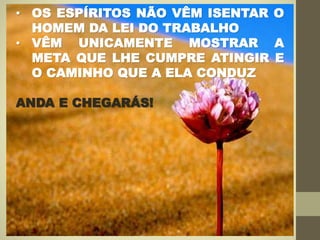 • OS ESPÍRITOS NÃO VÊM ISENTAR O
HOMEM DA LEI DO TRABALHO
• VÊM UNICAMENTE MOSTRAR A
META QUE LHE CUMPRE ATINGIR E
O CAMINHO QUE A ELA CONDUZ
ANDA E CHEGARÁS!
 