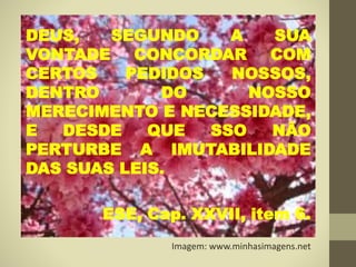 DEUS, SEGUNDO A SUA
VONTADE CONCORDAR COM
CERTOS PEDIDOS NOSSOS,
DENTRO DO NOSSO
MERECIMENTO E NECESSIDADE,
E DESDE QUE SSO NÃO
PERTURBE A IMUTABILIDADE
DAS SUAS LEIS.
ESE, Cap. XXVII, item 6.
Imagem: www.minhasimagens.net
 