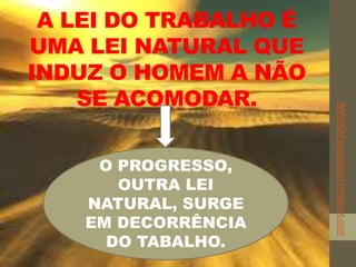 A LEI DO TRABALHO É
UMA LEI NATURAL QUE
INDUZ O HOMEM A NÃO
SE ACOMODAR.
O PROGRESSO,
OUTRA LEI
NATURAL, SURGE
EM DECORRÊNCIA
DO TABALHO.
IMAGEM:jaquegrazi.blogspot.com
 