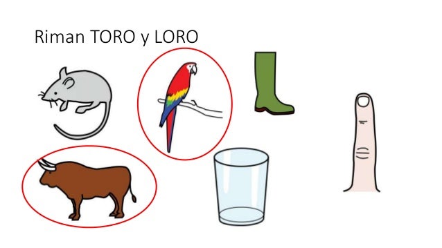 Palabras Que Riman Con Loro
