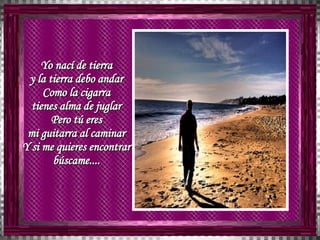 Yo nací de tierra  y la tierra debo andar  Como la cigarra  tienes alma de juglar  Pero tú eres  mi guitarra al caminar  Y si me quieres encontrar  búscame....  