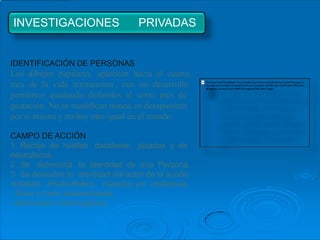 INVESTIGACIONES                   PRIVADAS


IDENTIFICACIÓN DE PERSONAS
Los dibujos papilares aparecen hacia el cuarto
mes de la vida intrauterina , con un desarrollo
periférico quedando definidos al sexto mes de
gestación. No se modifican nunca, ni desaparecen
por si misma y no hay otra igual en el mundo.

CAMPO DE ACCIÓN
1 Recojo de huellas dactilares , pisadas y de
neumáticos.
2 Se determina la Identidad de una Persona.
3 Se descubre la identidad del autor de la acción
indebida ,(Hurto-Robo), material y/o intelectual.
- Robo o hurto sistematizado.
- Entrevista e Interrogatorio.
 