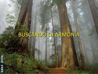 BUSCANDO LA ARMONÍA ©PPS TOC® 