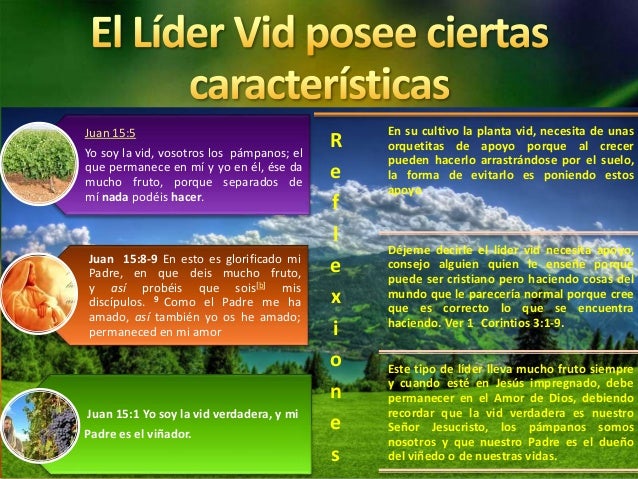 Buscando Un Rey Que Gobierne