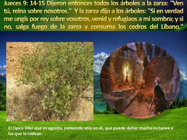 Buscando Un Rey Que Gobierne