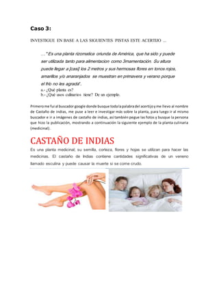 Caso 3:
INVESTIGUE EN BASE A LAS SIGUIENTES PISTAS ESTE ACERTIJO ...
… "Es una planta rizomatica oriunda de América, que ha sido y puede
ser utilizada tanto para alimentacion como 3rnamentación. Su altura
puede llegar a [casi] los 2 metros y sus hermosas flores en tonos rojos,
amarillos y/o anaranjados se muestran en primavera y verano porque
el frío no les agrada”.
a.- ¿Qué planta es?
b.- ¿Qué usos culinarios tiene? De un ejemplo.
Primerome fui al buscadorgoogle donde busque todalapalabradel acertijoyme llevo al nombre
de Castaño de indias, me puse a leer e investigar más sobre la planta, para luego ir al mismo
buscador e ir a imágenes de castaño de indias, así también pegue las fotos y busque la persona
que hizo la publicación, mostrando a continuación la siguiente ejemplo de la planta culinaria
(medicinal).
CASTAÑO DE IÑDIAS
Es una planta medicinal; su semilla, corteza, flores y hojas se utilizan para hacer las
medicinas. El castaño de Indias contiene cantidades significativas de un veneno
llamado esculina y puede causar la muerte si se come crudo.
 
