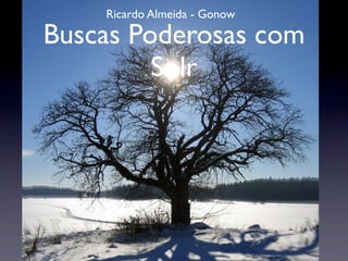Ricardo Almeida - Gonow

Buscas Poderosas com
         Solr
 