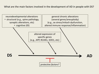 What are the main factors involved in the development of AD in people with DS?


 neurodevelopmental alterations                    general chronic alterations
• structural (e.g., spine pathology,              (several genes/aneuploidy)
     synaptic alterations, etc)               (e.g., ox stress/mitoch dysfunction,
         • cognitive (ID)                  altered immune response/inflammation)


                              altered expression of
                                  specific genes
                          (e.g., APP, RCAN1, SOD1, etc)




  DS                                                                                 AD
                                       protective factors?
 