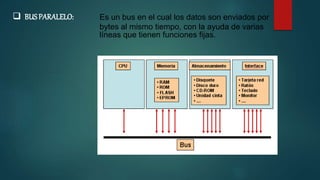  BUS PARALELO: Es un bus en el cual los datos son enviados por
bytes al mismo tiempo, con la ayuda de varias
líneas que tienen funciones fijas.
 