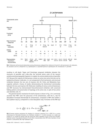 resulting in cell death. Tipper and Strominger proposed similarities between the
structures of penicillin and D-Ala-D-Ala, the terminal amino acids of the nascent
acetylmuramyl-pentapeptide fragment, to explain the antimicrobial activity of penicillin
(27). Because the majority of ␤-lactamases contain an active-site serine that also can be
acylated by ␤-lactam molecules, it is not unexpected to ﬁnd mechanistic and structural
similarities between the two sets of enzymes (28, 29). Fisher and Mobashery have
cogently outlined a history of studies demonstrating the biochemical commonality
between the two acyl enzymes (30). Molecular modeling of various serine ␤-lactamases
and PBP structures has demonstrated three-dimensional similarities with conserved
folding patterns and preservation of topology at the active site, in spite of low amino
acid identities (28, 31).
The general reaction mechanism for both enzymes is shown in Fig. 2. It is commonly
assumed that PBPs were the precursors of the ␤-lactamases, with the k3 rate for
deacylation increased dramatically for ␤-lactamases, compared to PBPs that exhibit a
fast acylation step (k2) compared to a slow deacylation step. Formation of the PBP-acyl
FIG 1 Molecular and functional relationships among ␤-lactamases (adapted from references 20 and 201 with permission). AV, avibactam;
CA, clavulanic acid; Cb, carbapenem; Cp, cephalosporin; E, expanded-spectrum cephalosporin; M, monobactam; P, penicillin.
FIG 2 General reaction mechanism for binding of a ␤-lactam substrate (S) to a PBP (E) or a serine
␤-lactamase (E). Reversible formation of a Michaelis complex (E · S) which proceeds to a stable acyl
enzyme (E—S) caused by reaction with the active-site serine. Hydrolysis occurs to form the microbio-
logically inactive ring-opened ␤-lactam (P) and either enzymatically active PBP (slow hydrolysis of acyl
enzyme) or ␤-lactamase (Bla, high hydrolysis rate).
Minireview Antimicrobial Agents and Chemotherapy
October 2018 Volume 62 Issue 10 e01076-18 aac.asm.org 3
Downloaded
from
https://journals.asm.org/journal/aac
on
10
February
2025
by
2a0a:4cc0:0:10dd::c7.
 