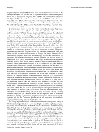 enzyme complex is considered by many to be an irreversible reaction compared to the
lifetime of a bacterial cell, with half-lives of acyl enzymes ranging from a relatively short
9 to 15 min for Pseudomonas aeruginosa PBP2 and PBP3 with amdinocillin or aztreonam
(32, 33) to a half-life of more than 24 h for nitroceﬁn with PBP2a from Staphylococcus
aureus (34). Some PBPs may have evolved to function as weak ␤-lactamases with a slow
turnover of the ␤-lactam substrate (28); for example, cefotaxime deacylation rates are
70- to 80-fold higher for PBP2x variants than that for the wild-type enzyme in Strep-
tococcus pneumoniae (35).
␤-Lactamases are ancient enzymes that existed even in the absence of the pressure
of therapeutic antibiotics. In 1979, Hamilton-Miller claimed that “penicillinase was born
on December 28, 1940” (36), the date Abraham and Chain reported that a bacterial
enzyme was capable of destroying penicillin (1). Little did he know that modern
phylogenetic analyses have estimated the age of serine ␤-lactamases to be more than
2 billion years old (37), with plasmid-encoded ␤-lactamases appearing millions of years
ago (38). Recent explorations of remote environmental niches have identiﬁed func-
tional ␤-lactamase-like activity in locations, such as a region of the Lechuguilla Cave in
New Mexico (USA) estimated to have been isolated for over 4 million years (39).
Sampling of the cave resulted in the growth of 93 bacterial strains, with as many as 62%
capable of hydrolyzing ␤-lactams. However, no sequences of known ␤-lactamase
sequences were identiﬁed. The same group also examined metagenomic DNA from
30,000-year-old permafrost sediments east of Dawson City, Yukon (Canada) (40). In
these samples, deduced amino acid sequences with 53% to 84% identities to the
ubiquitous TEM ␤-lactamases clustered into the following two enzyme groups: (i)
␤-lactamases from various streptomycetes, and (ii) uncharacterized ␤-lactamase-like
hydrolytic proteins. In a slightly younger sample of cold-seep sediments of Edison
seamount (Papua, New Guinea) estimated to be 10,000 years old, 30 clones produced
genes encoding ␤-lactamases primarily belonging to enzymes in the TEM family (41).
Additional metagenomic analyses of ancient and naive environmental samples identi-
ﬁed a novel metallo-␤-lactamase (MBL), isolated from a 14th century bone sample, with
an unusual substrate proﬁle unlike that of other known MBLs; its sensitivity to clavu-
lanic acid and to carbapenems suggested that it may have emerged to provide
resistance to currently unknown ␤-lactam-containing molecules (42). In addition to
these ␤-lactamase-type enzymes in historical samples, ␤-lactamase production has
been identiﬁed in multiple remote pristine Antarctic soil samples (43), in ice cores in
glaciers outside Antarctica (44), and in remote South American populations that have
rarely, or never, been treated with commercial ␤-lactam antibiotics (45, 46). Curiously,
an IMP MBL, a somewhat infrequent contributor to ␤-lactam resistance in contempo-
rary clinical isolates (47), was found in approximately half of the glacial samples but not
from Greenland or Antarctica (44). ␤-Lactamases have also been identiﬁed in fungi,
where they are suspected of serving to inactivate plant or microbial naturally occurring
␤-lactam compounds (48). However, there are still organisms with no conﬁrmed
␤-lactamases, notably S. pneumoniae, Streptococcus pyogenes, Helicobacter pylori, My-
coplasma spp. and the Chlamydiae, possibly due to the production of homologous
enzymes with the ability to inactivate ␤-lactams (49).
The history of ␤-lactamases can hardly be written without referring to the history of
␤-lactam-containing antibacterial agents, including the penicillins, cephalosporins, car-
bapenems, and monobactams, all of which contain a 4-membered 2-azetidinone ring
(50). Although most of the ␤-lactam-containing agents in use today are synthetic or
semisynthetic molecules, ␤-lactams as therapeutic agents originate from naturally
occurring sources, identiﬁed initially because of their antibacterial activities in agar-
based assays. Penicillin (penicillin G or benzylpenicillin) was ﬁrst recognized because it
prevented the growth of staphylococci on a petri dish contaminated with the common
mold Penicillium notatum (51). Cephalosporin C, the starting point for the cephalospo-
rins, was isolated from sewage sludge in Sardinia (52). Carbapenems were found in
various ␤-lactam-producing actinomycetes from soil samples (53), and monobactams
were isolated from bacteria in New Jersey soil and water samples (54). All these
Minireview Antimicrobial Agents and Chemotherapy
October 2018 Volume 62 Issue 10 e01076-18 aac.asm.org 5
Downloaded
from
https://journals.asm.org/journal/aac
on
10
February
2025
by
2a0a:4cc0:0:10dd::c7.
 