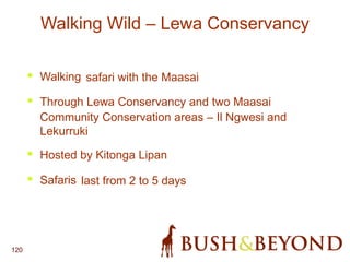 120
Walking Wild – Lewa Conservancy
• Walking safari with the Maasai
• Through Lewa Conservancy and two Maasai
Community Conservation areas – Il Ngwesi and
Lekurruki
• Hosted by Kitonga Lipan
• Safaris last from 2 to 5 days
 