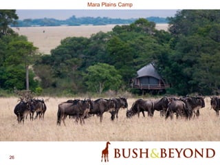 26
Mara Plains Camp
 