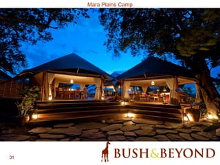 31
Mara Plains Camp
 
