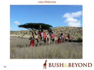 50
Lewa Wilderness
 