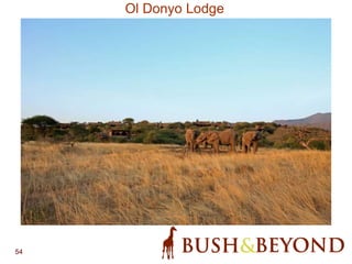 54
Ol Donyo Lodge
 