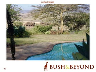 87
Lewa House
 