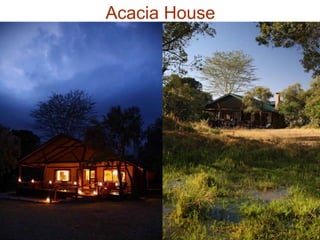 94
Acacia House
 