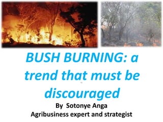 BUSH BURNING: a
trend that must be
                 By




   discouraged
         By Sotonye Anga
 Agribusiness expert and strategist
 