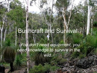 Bushcraft and Survival   “” You don't need equipment, you need knowledge to survive in the wild.  
