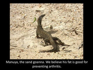Manuya, the sand goanna. We believe his fat is good for
                preventing arthritis.
 