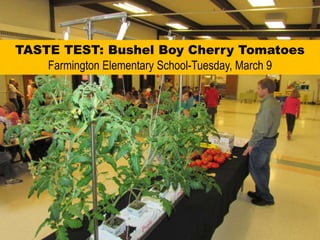 TASTE TEST: Bushel Boy Cherry TomatoesFarmington Elementary School-Tuesday, March 9 