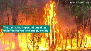 The damaging impact of bushfires
on infrastructure and supply chains
 
