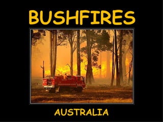 BUSHFIRES AUSTRALIA 