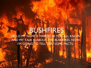 BUSHFIRES ,[object Object]