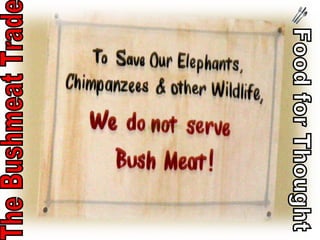 Food for Thought The Bushmeat Trade 